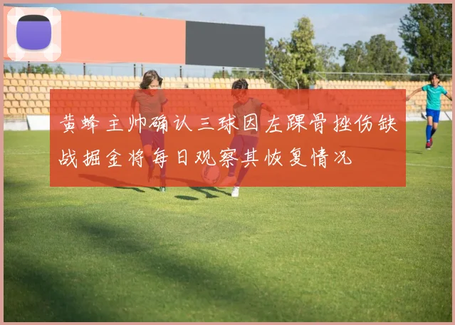黄蜂主帅确认三球因左踝骨挫伤缺战掘金将每日观察其恢复情况
