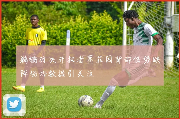 鹈鹕对决开拓者墨菲因背部伤势缺阵场均数据引关注