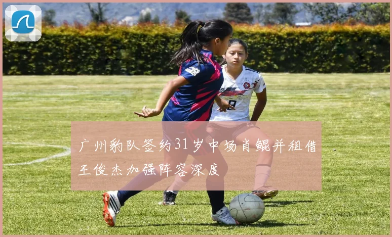 广州豹队签约31岁中场肖鲲并租借王俊杰加强阵容深度