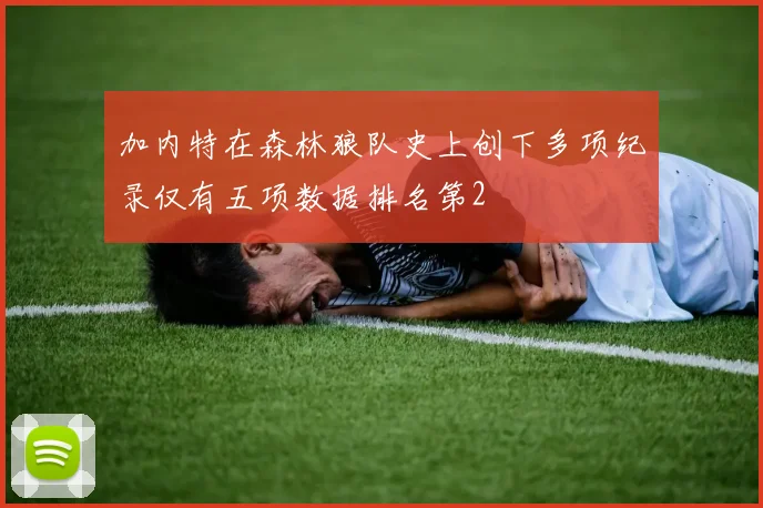 加内特在森林狼队史上创下多项纪录仅有五项数据排名第2