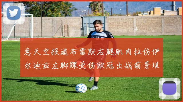 意天空报道布雷默右腿肌肉拉伤伊尔迪兹左脚踝受伤欧冠出战前景堪忧