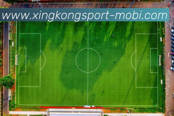 星空体育APP 高清赛事图